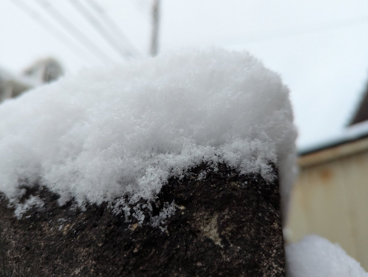起きたら室内でマイナス6度。私が記憶してる限りに過去最低気温。
本当にトウキョーかな？ここ🤔

台所の水道管が半分凍りかけてて焦った。水を出したら、みぞれが噴き出してきた😨
ヤバイね、なんの対策もしてなかった。今晩は注意しよう。

#雪