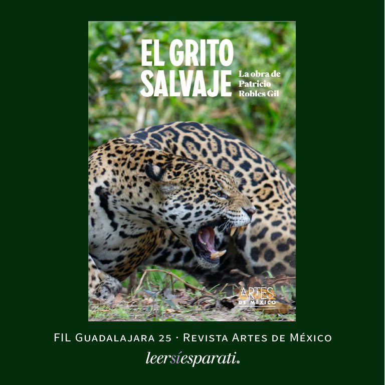 Leersiesparati's tweet photo. El martes 2 de diciembre se presentó la revista libro “El grito salvaje · La obra de Patricio Robles Gil”, de @ArtesdeMexico en la @FILGuadalajara 25. A leerla. #Leer #Escribir #Revistas #Libros #ElGritoSalvaje #PatricioRoblesGil #FIL25 #FelizSábado https://t.co/CMWAvhSwu8
