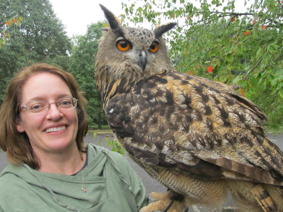 Annette Whipple tweet media