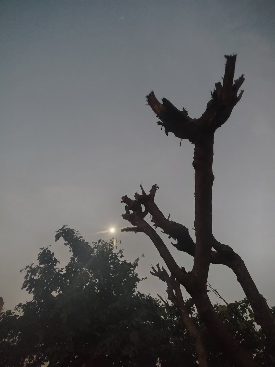 किस्मत को छोड़ो जब मेहनत...

      का सिक्का उछलता है तब...

 हैड भी तुम्हारा होता है....

        टेल भी तुम्हारा होता है..!!!!
शुभ प्रभात 
Good morning 
Radhey Radhey 
जय श्री राम 
जय भोले शंकर