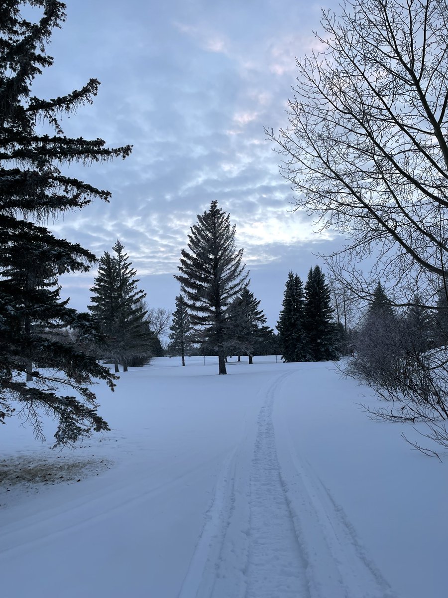 Blaine Forsberg MSc tweet media