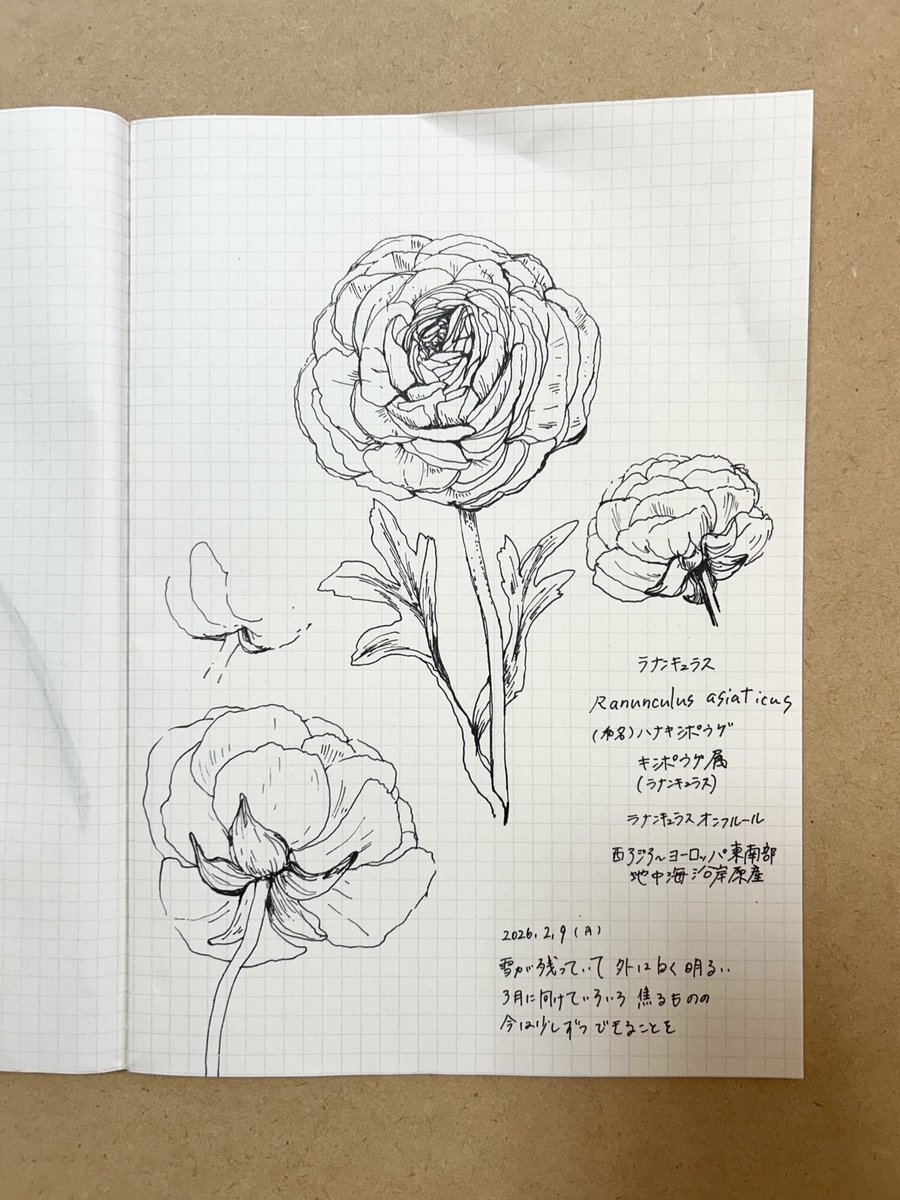 星川あすか Hoshikawa Asuka (@hoshias2) on Twitter photo 