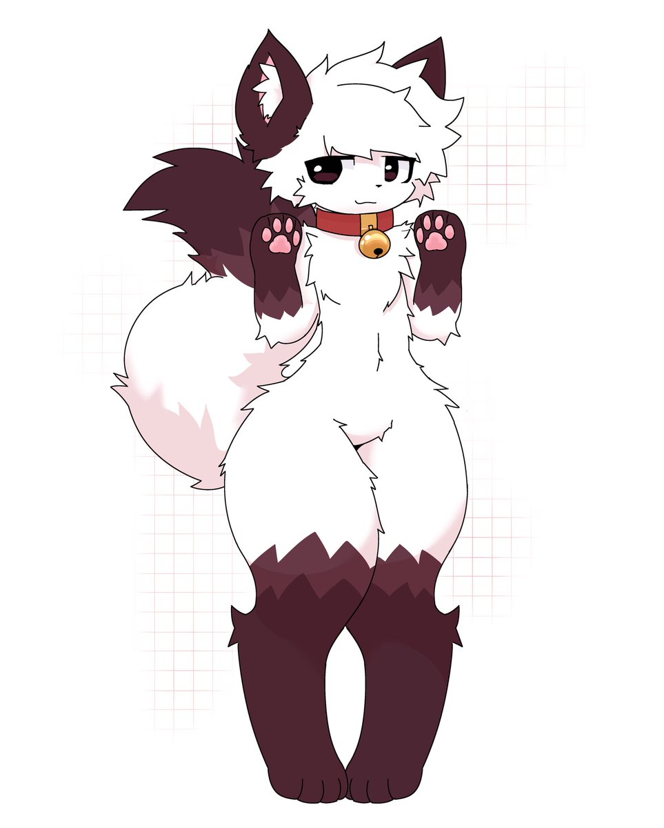 river 🔜 LVFC tweet media