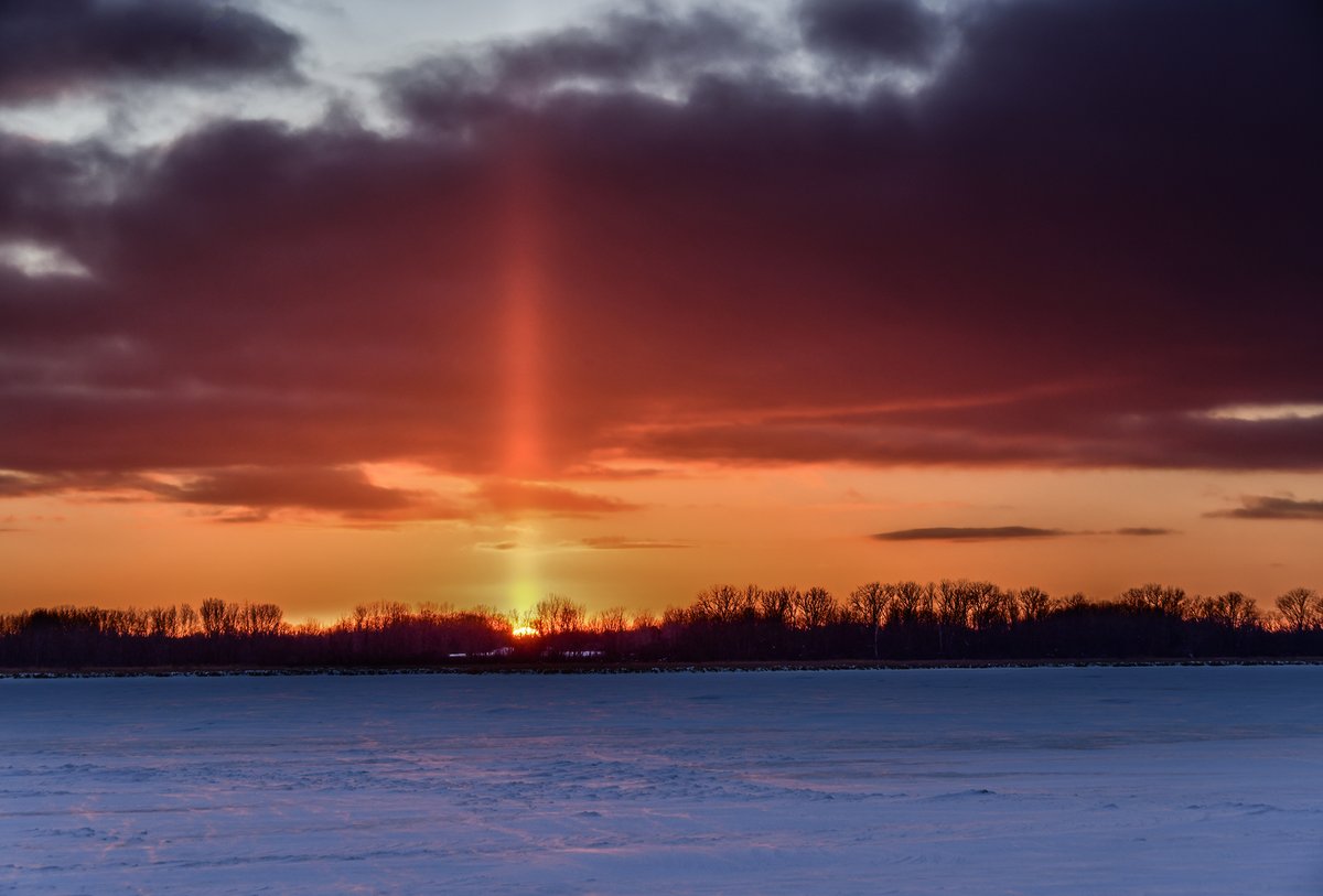 James Montanus tweet media