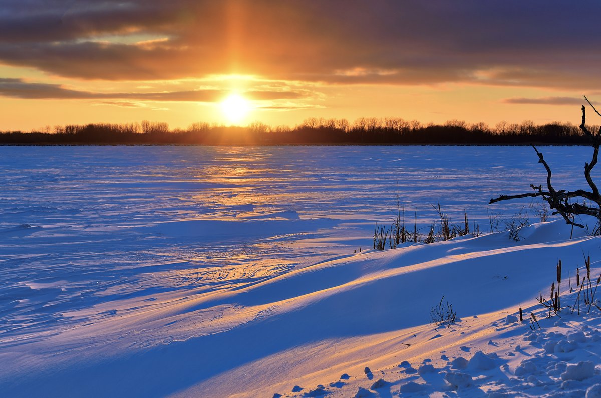 James Montanus tweet media