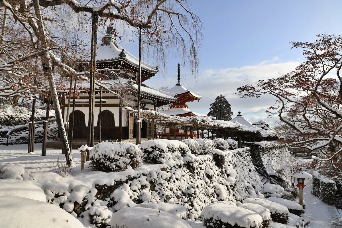 京都 西山 善峯寺（よしみねでら） (@yoshimine1029) / Posts / X