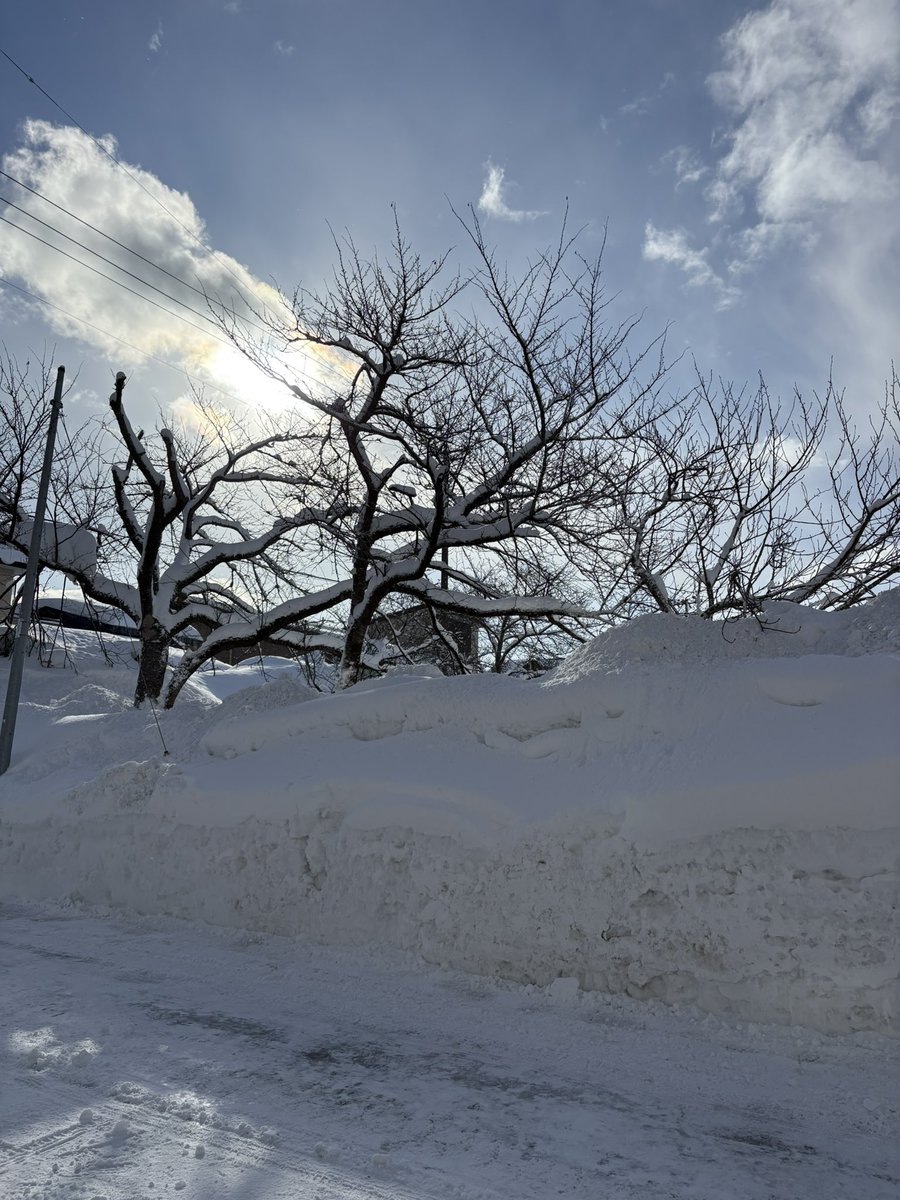 おはようございます。
今日は太陽があるから暖かいなと思ったら、マイナス3℃でした。
事務所前の雪の壁も3mくらいに成長してました。

以上、東北事務所からでした！
雪に不慣れな地域でも降雪があったので、路面凍結等にお気をつけください！
今週も頑張っていきましょう☃️
#おはよう #雪 #イマソラ