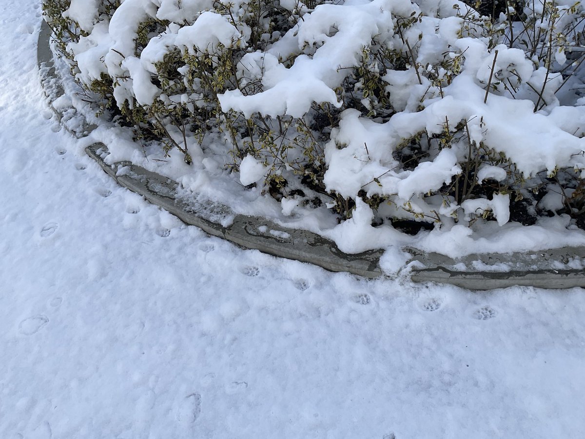 Masato Hirose tweet media