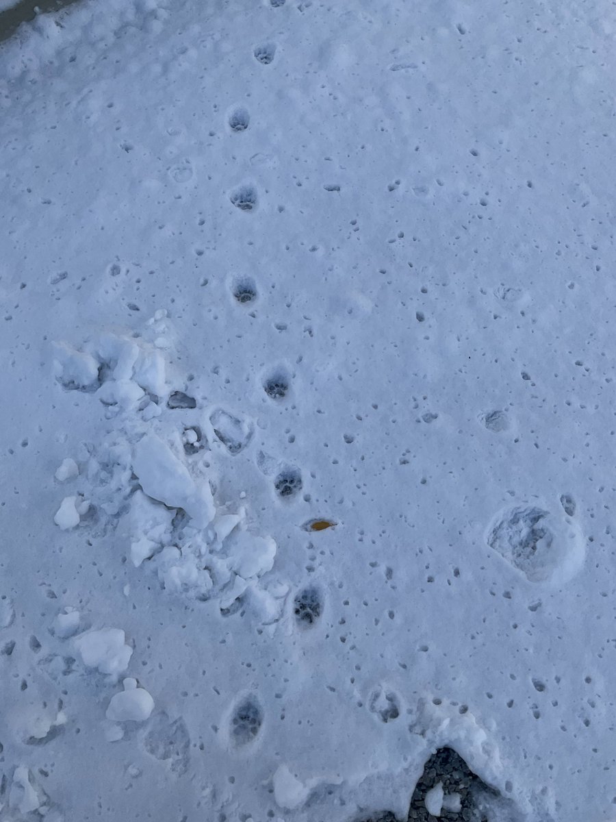 Masato Hirose tweet media