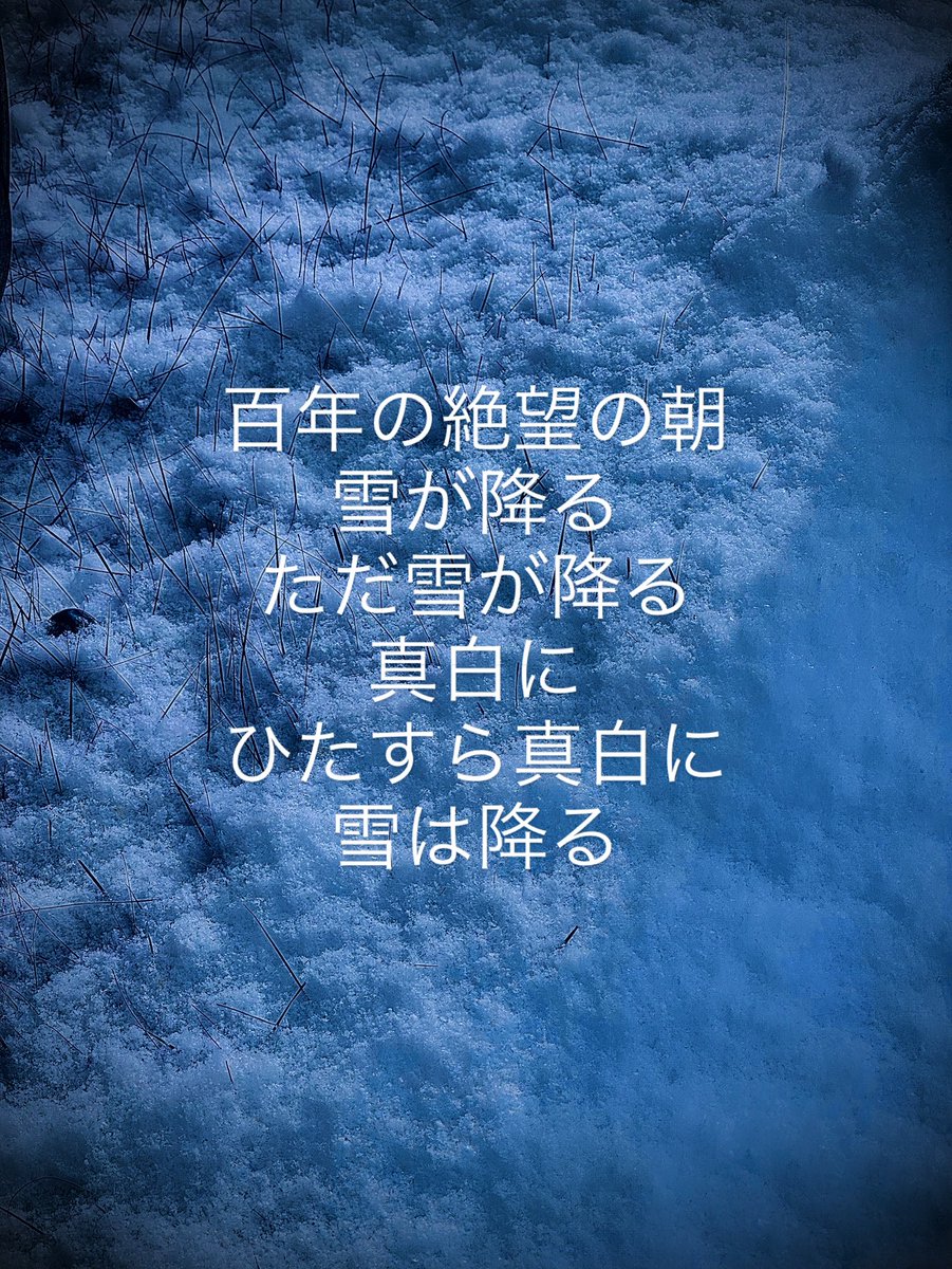 木村 純一 (@canoej) on Twitter photo 