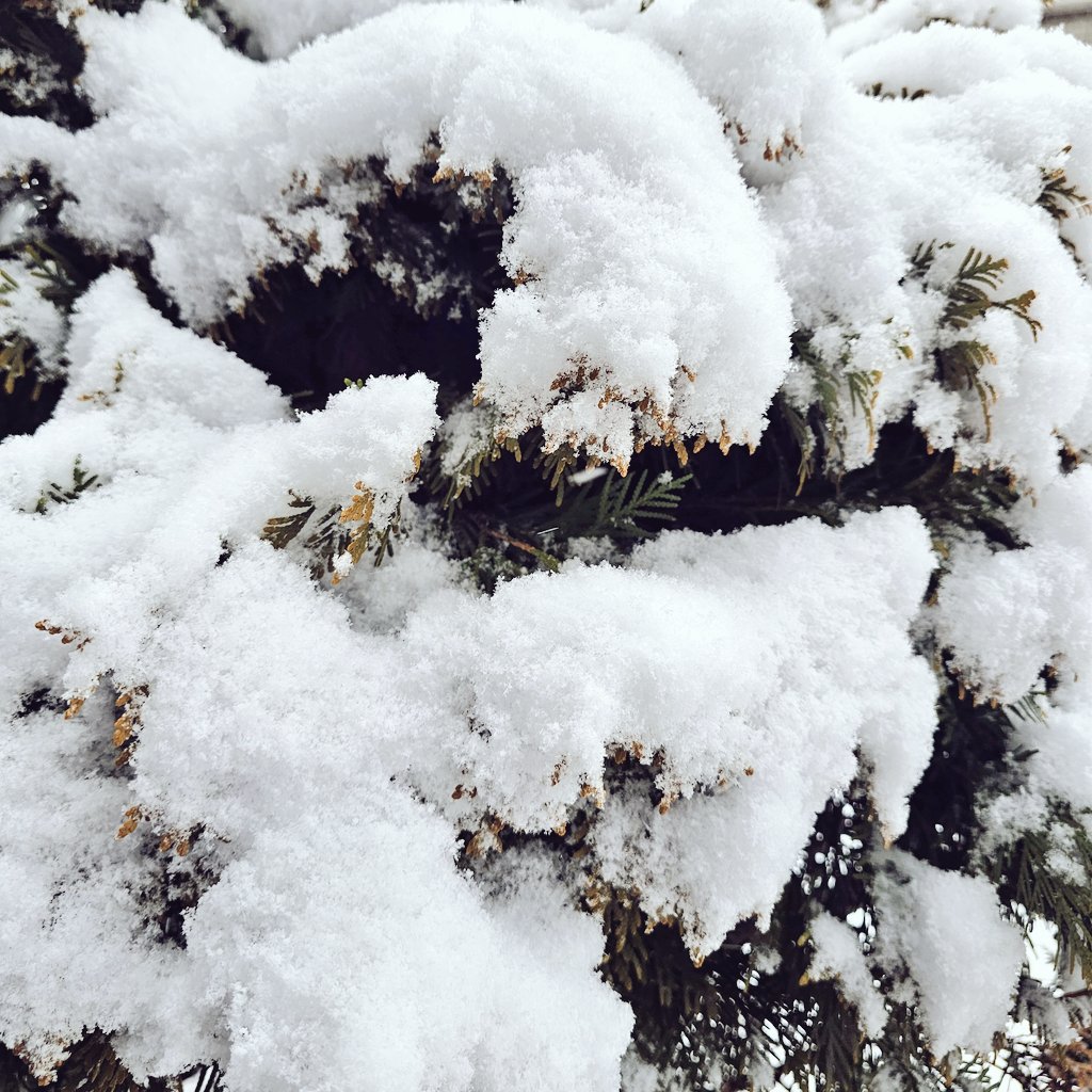 おはようございます🌞
寒いですね…本当に……
-4ってなんですか？
毎週末は雪な気が😇 

中の人基本暖房付けないから
使ってるMacBookが冷え冷えで
目が覚めます👀ﾋｯ
 #企業公式が毎朝地元の天気を言い合う 
 #企業公式冬のフォロー祭り 
 #企業公式相互フォロー
 #企業公式さんと繋がりたい