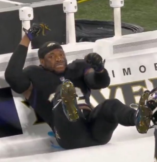 TheFlockOpinion🐦‍⬛ (@theflockopinion) on Twitter photo 