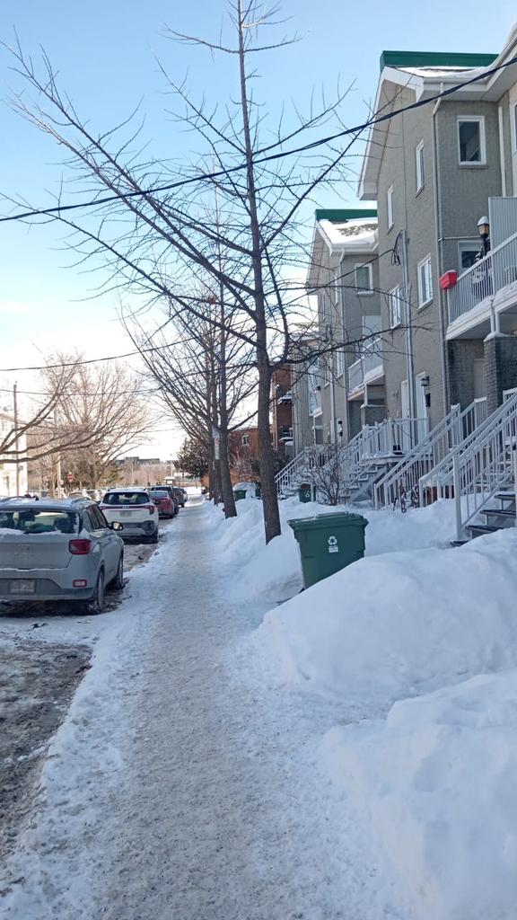 Unestruendo's tweet photo. Sol cruza la calle triste
porque la nieve lo agobia
será que no tiene novia
y la resaca lo embiste.
No sabe sol que consiste
en un viaje sempiterno
Y hasta en el mundo moderno
del arte y de la fortuna
se necesita una luna
*para pasar el invierno* https://t.co/WrkAVrnMrD