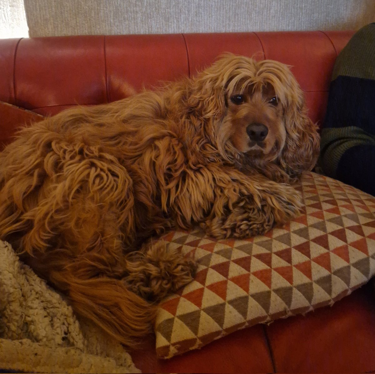 This_is_weirdly_fun tweet media