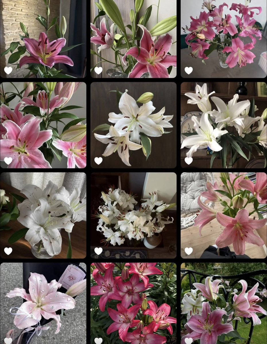 ❀ (@i3moment) on Twitter photo 