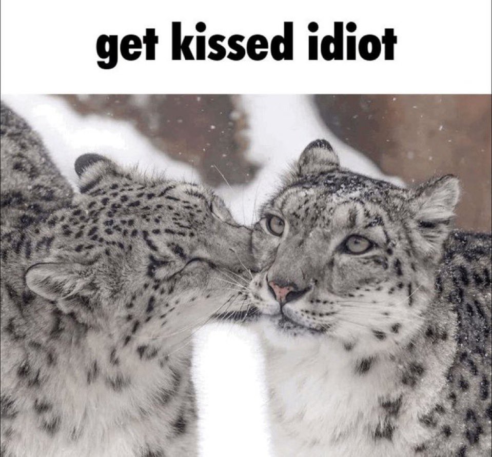 me smooching all of my snep friends and snoomfs!!!!
