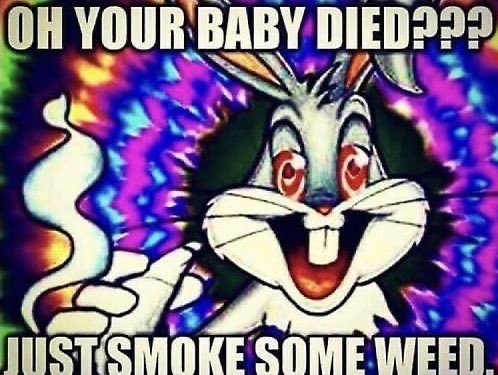 RAW CHOC tweet media