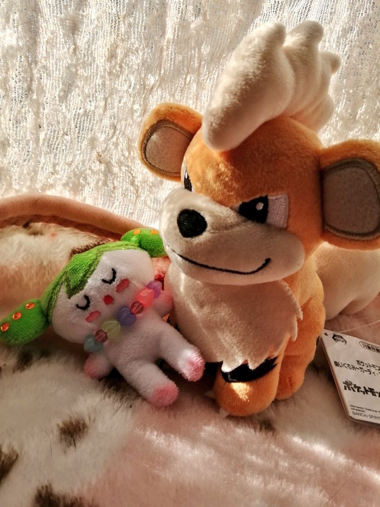 ⭐モグ⭐ ﾌｧｸﾞﾗｰ