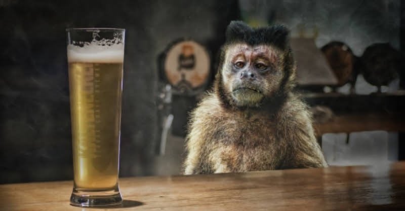 First time watching the Super Bowl and I’m already fed up of the commercials 🤦🏿‍♂️🤦🏿‍♂️
#SuperBowlLX