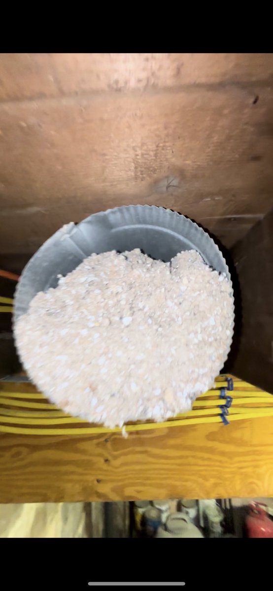 Dustbusters Duct Cleaning tweet media