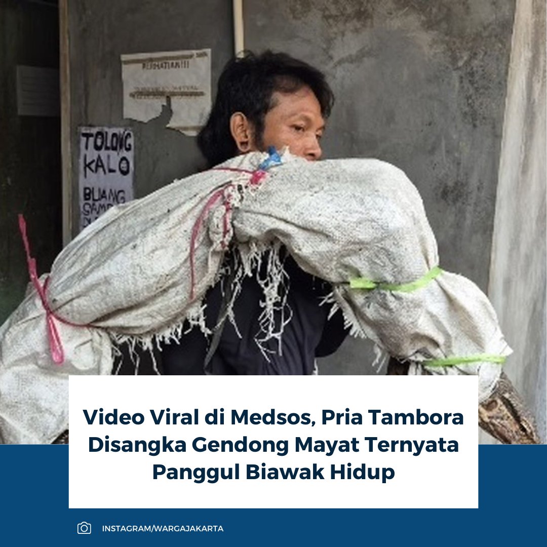 kompascom's tweet photo. Video pria diduga menggendong mayat di Tambora viral di Jakarta Barat. Polisi menelusuri kejadian setelah video itu beredar pada 7 Februari. Hasilnya, pria itu memanggul biawak hidup, bukan mayat.
Baca selengkapnya: https://t.co/WIOAF8K6xa
~RK #biawak #tambora #mayat https://t.co/TwIn8gjyvX