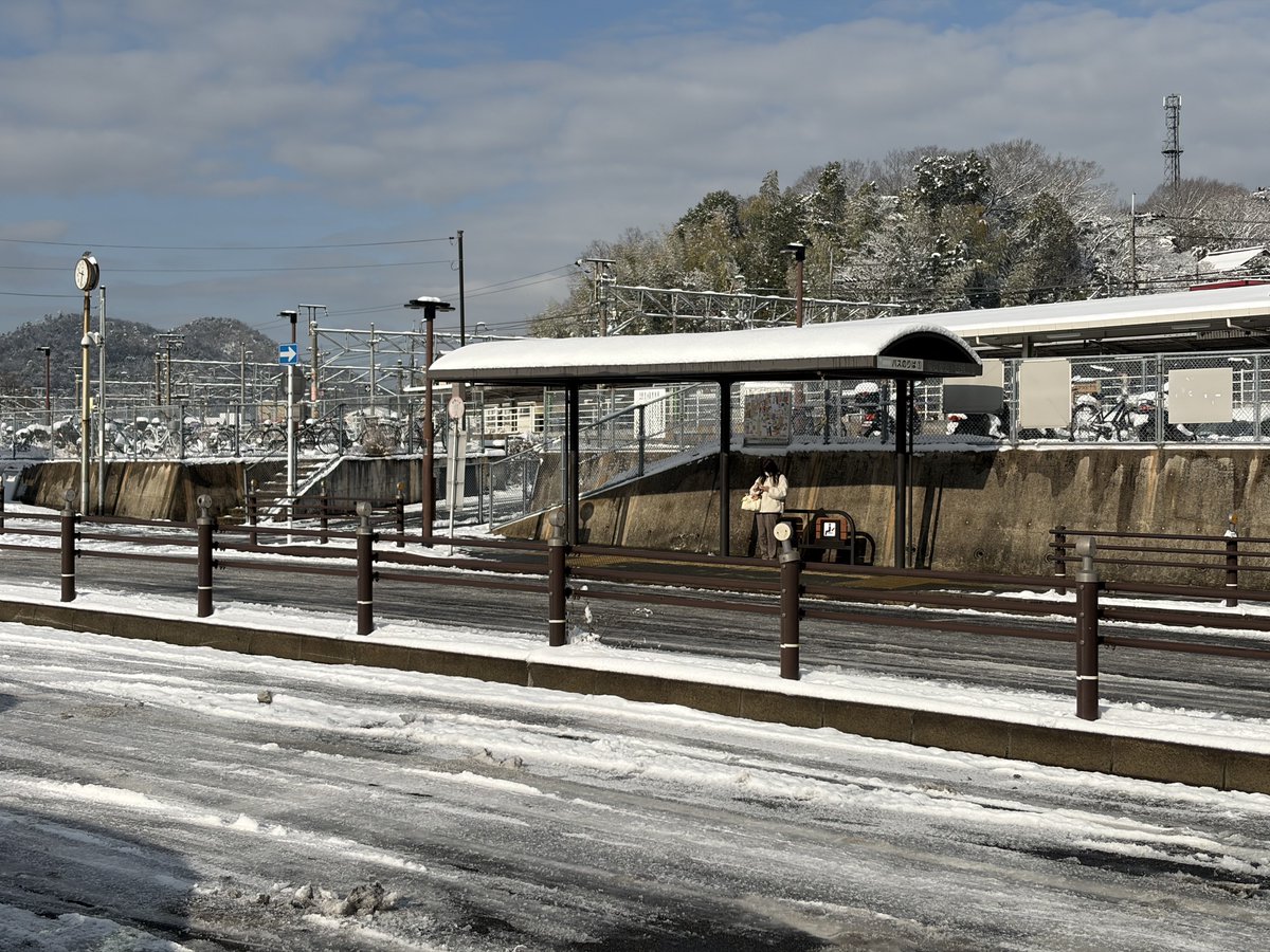 ありんこ tweet media