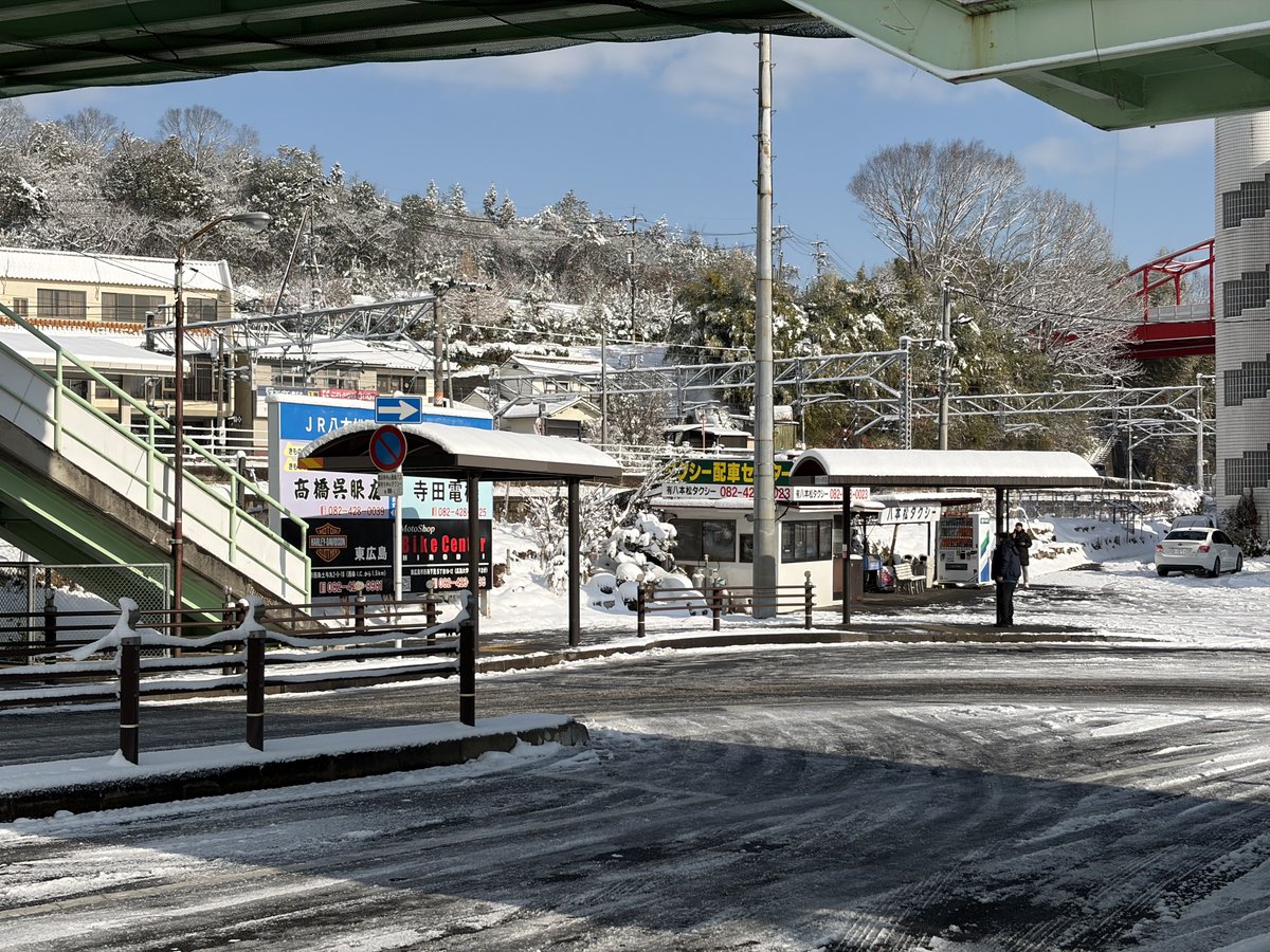 ありんこ tweet media