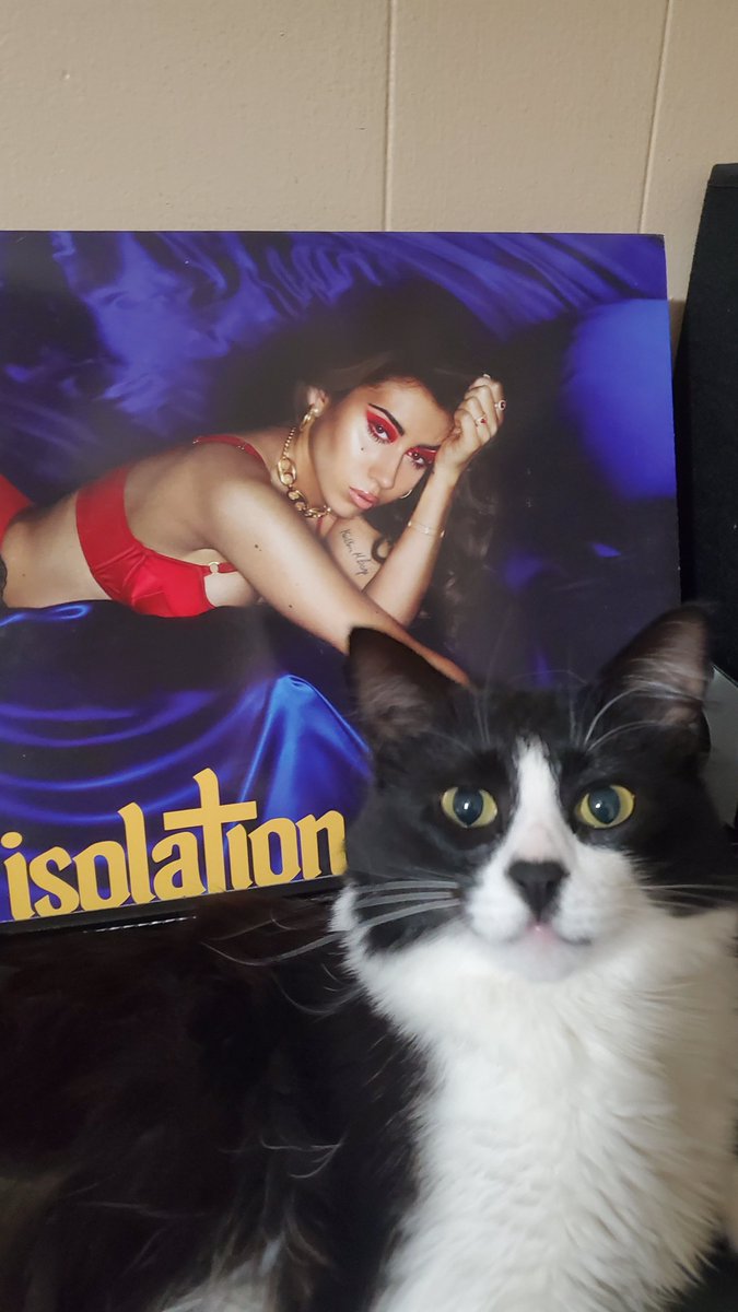 culd 🗡️ tweet media