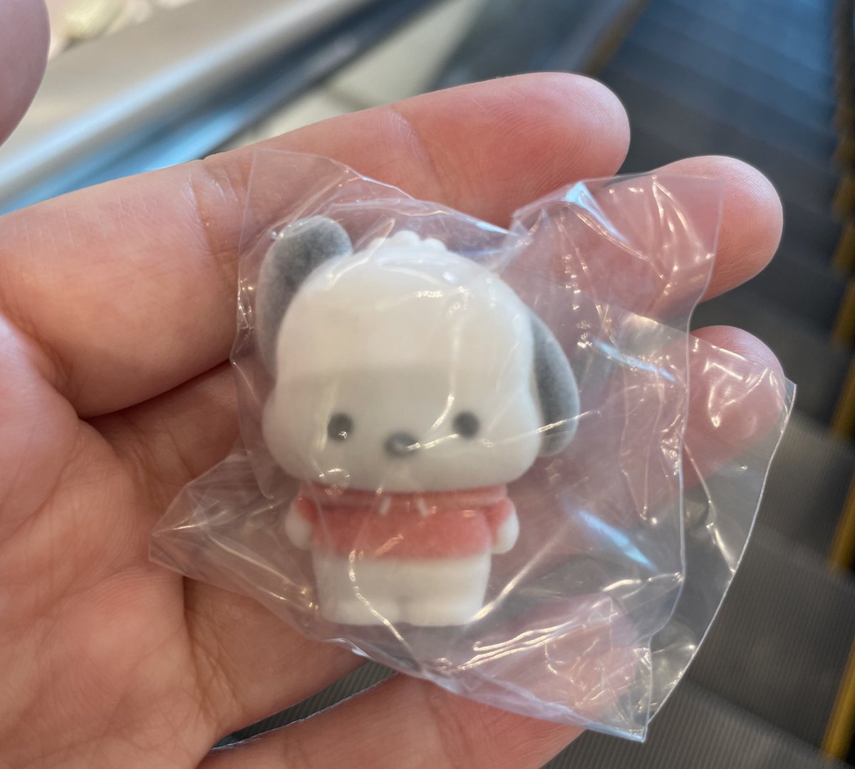 文月あい🦙🌻おえびちゃん🍤 tweet media