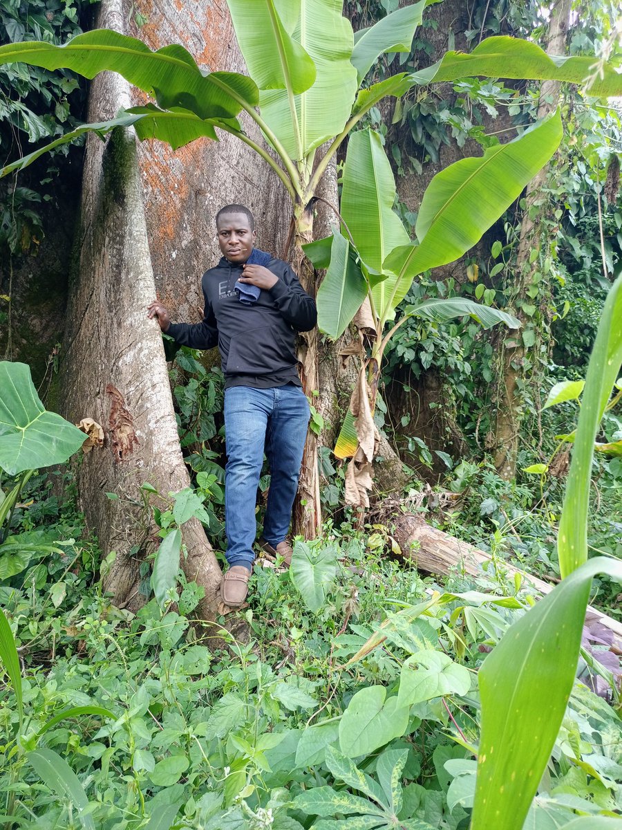 "I choose to remember: I’m a custodian of Earth, not its owner. My actions today protect (or harm) the forests our children need. Join me,say NO to deforestation in the Amazon &amp; Congo Basin. Small choices, massive impact. 🌿 #BeTheChange #SaveTheLungs"