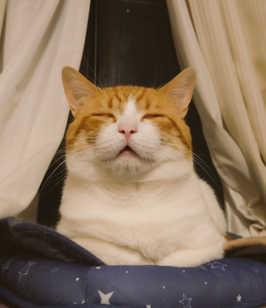 おちゃまる (@ochamarusan0126) / Posts / X