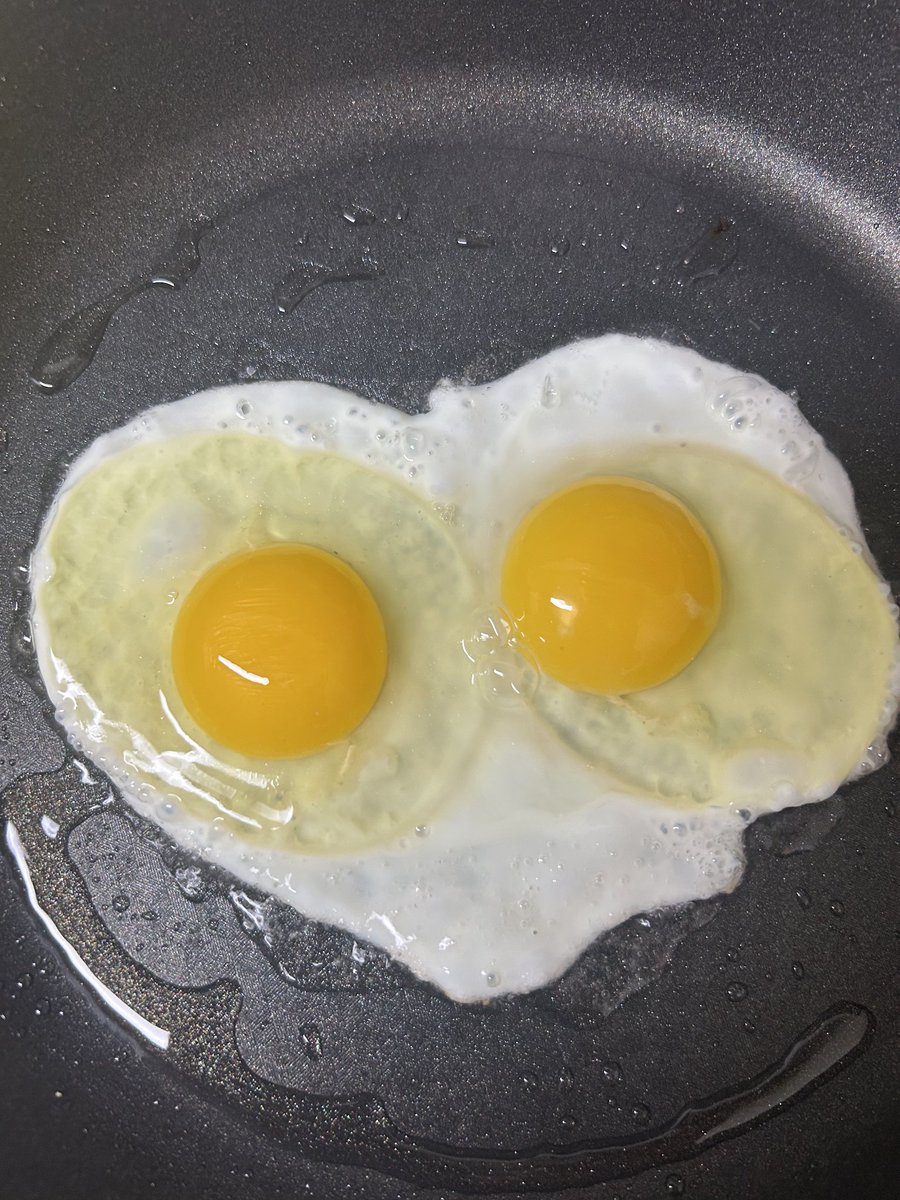 BackToOffice2's tweet image. 아침부터 달걀헌테 고백받았네요 🤍