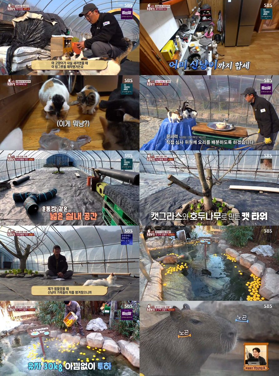 “데이식스 영케이, 카피바라 목소리 특별 출연…'TV동물농장', 시청률 껑충 '최고 7.2%'
👉 ent.sbs.co.kr/news/article.d…

#tv동물농장 #세력 #사랑 #시청률 #마리 #엄마 #SBS연예뉴스_강선애_기자 #강선애
<a href="/SBSEnterNews/">SBS연예뉴스</a>”