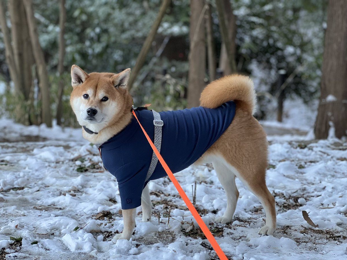 かっこよく撮れた😎