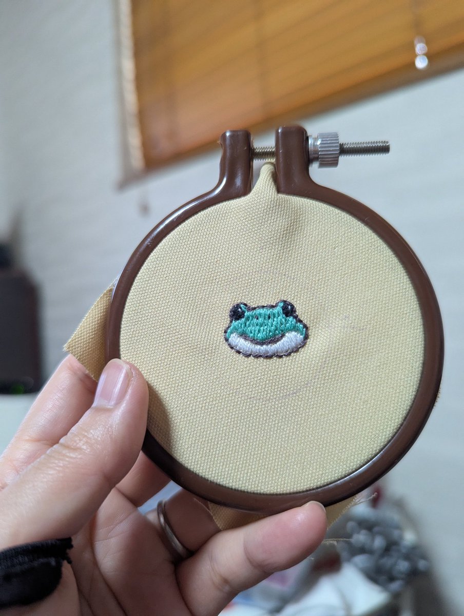 今日のかえる🐸✨