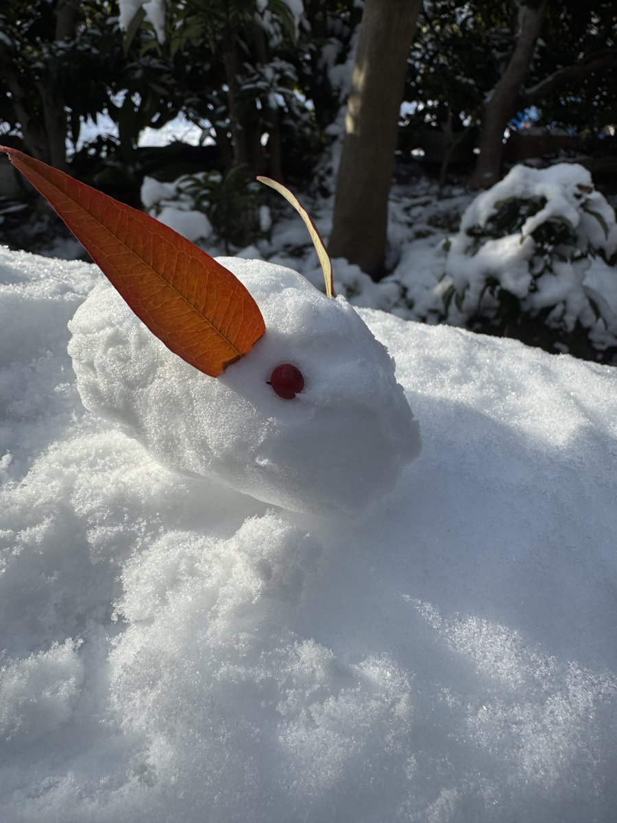 420choco's tweet image. 指ちぎれるかとおもた