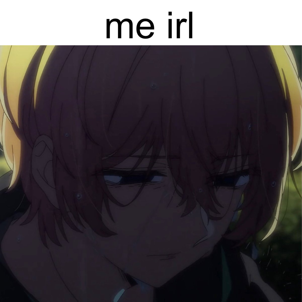 aqua loves es milgram tweet media