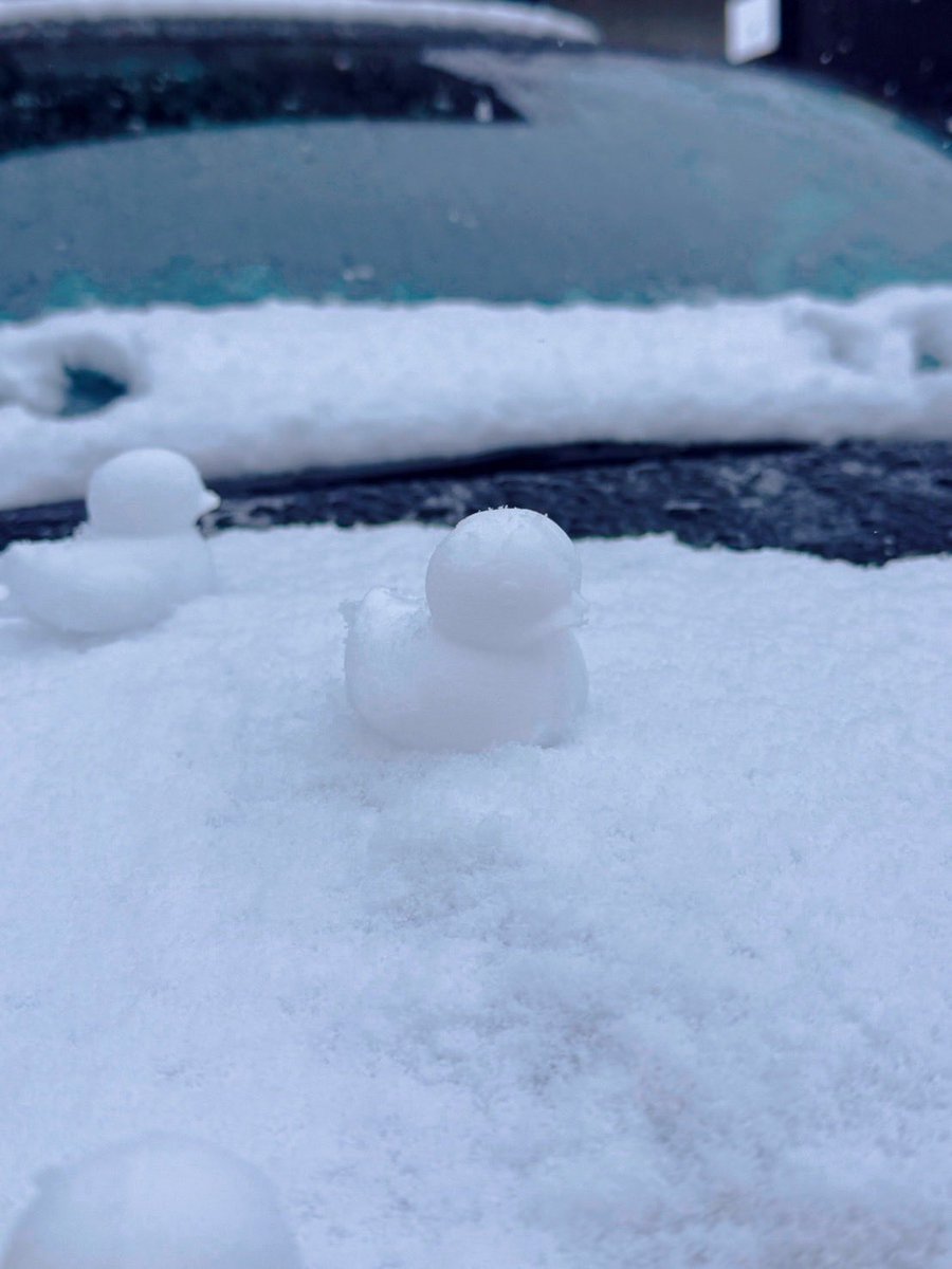 【高台寺店　臨時休業のお知らせ】
本日、雪の影響により高台寺店を臨時休業とさせていただきます。

なお、油小路本店および京都伊勢丹店は、通常通り営業いたします。

ご不便をおかけいたしますが、ご理解のほどよろしくお願いいたします。

#和詩倶楽部 #高台寺店 #臨時休業 #雪のアヒル