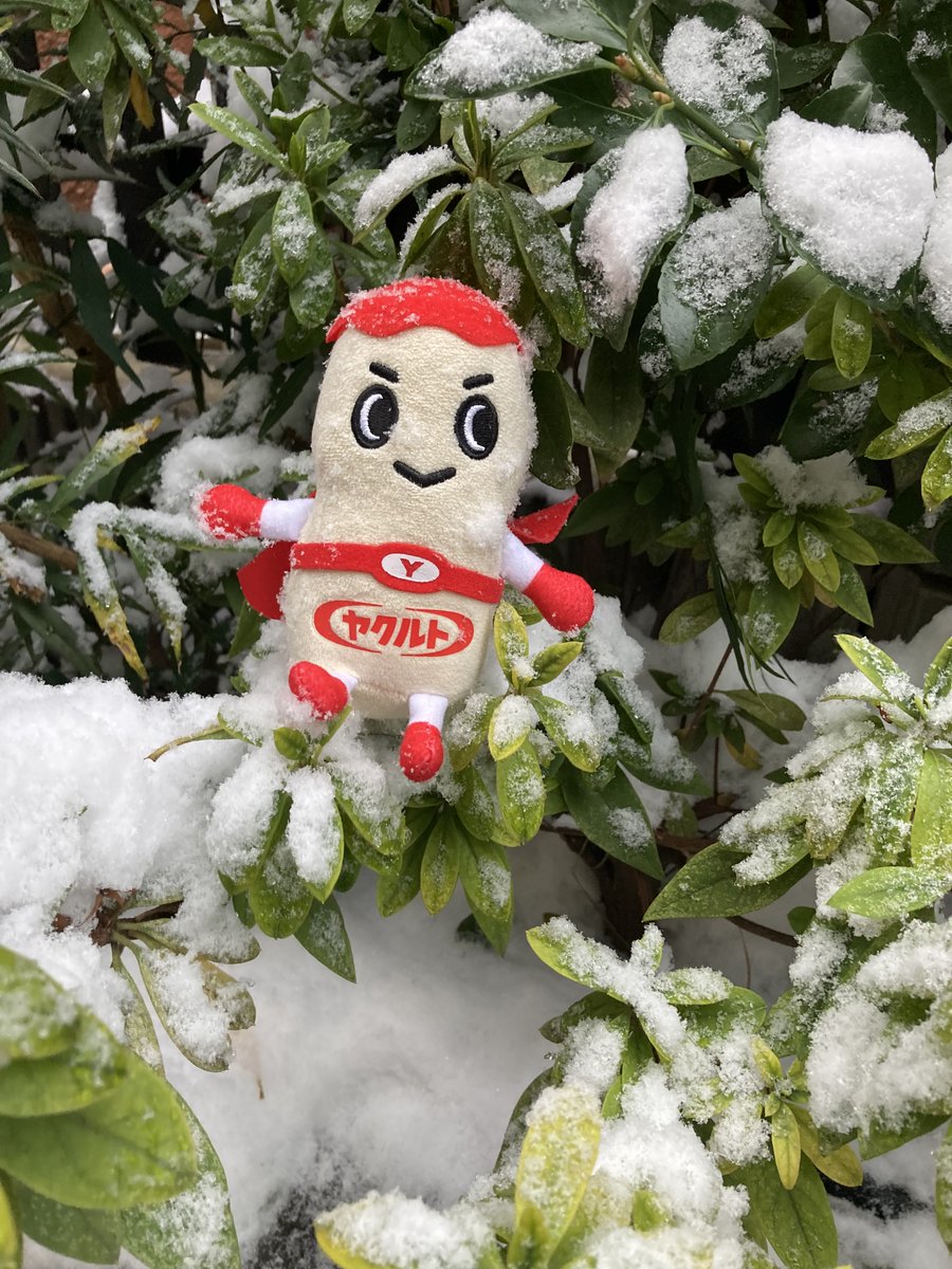 ヤクルトマン【公式】 (@Yakult_Man) / Posts / X