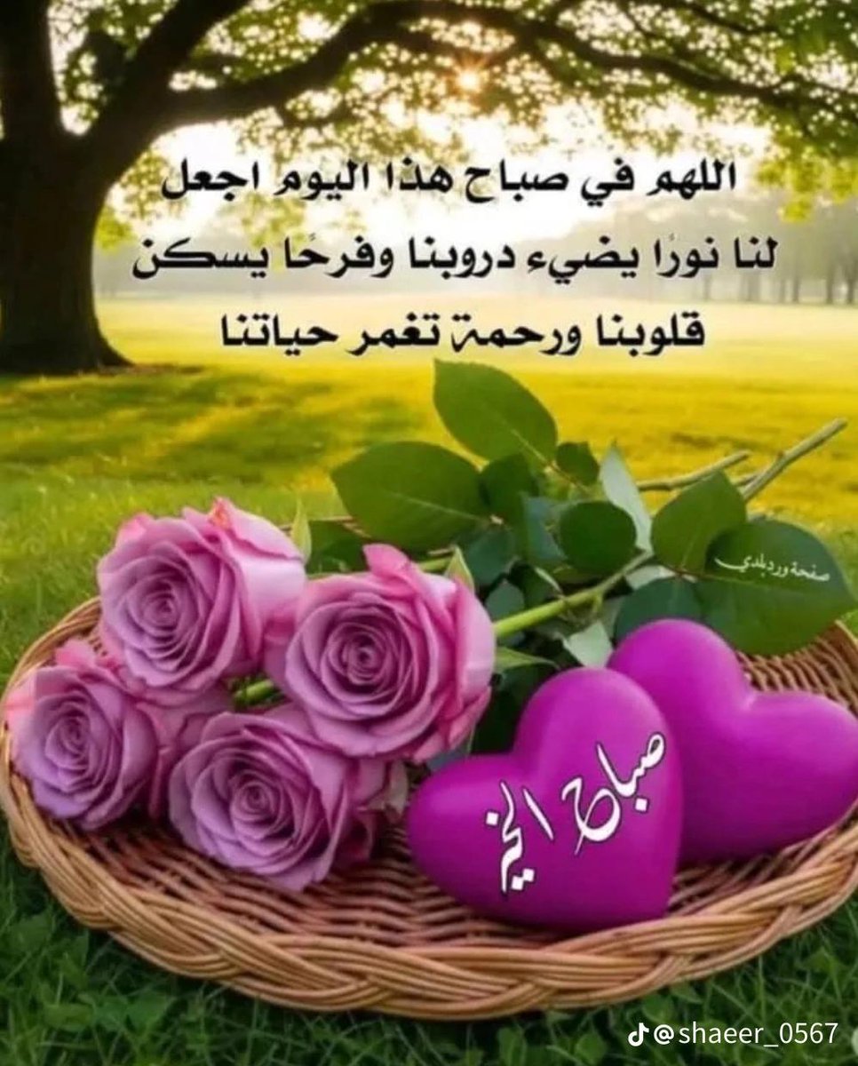 followingthenews (@followingthenew) on Twitter photo 