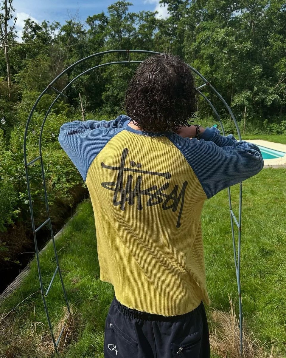 galactamelanin's tweet image. 