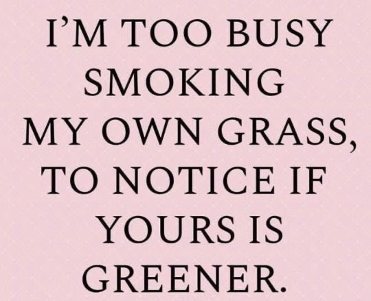 stonersvilla's tweet photo. https://t.co/d8HU3Mv2Z0