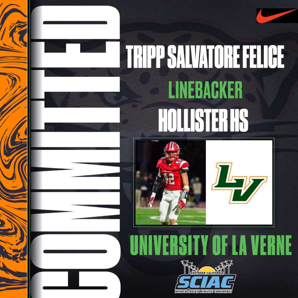 Salvatore Felice tweet media