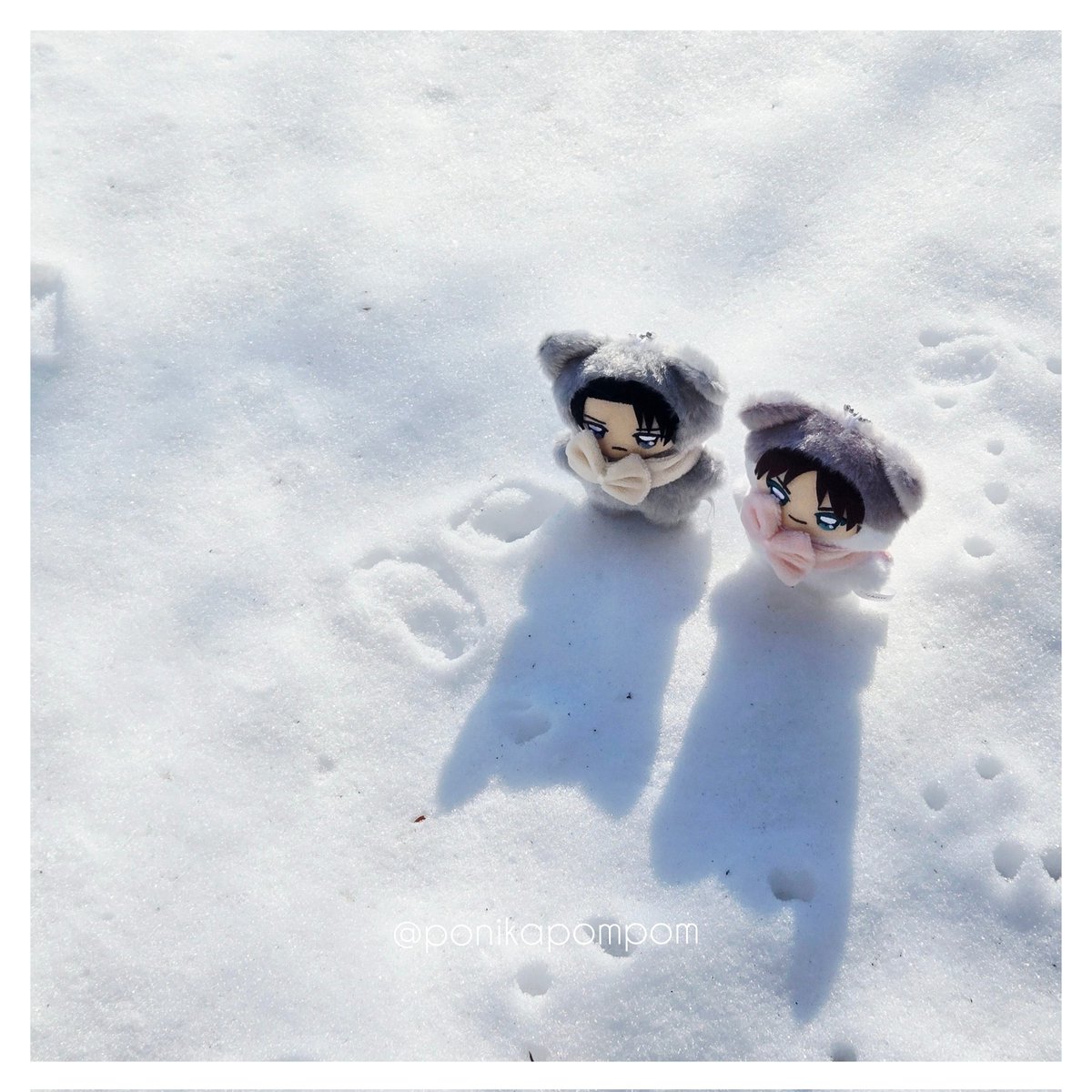 ｷｬｯｷｬｯ❄