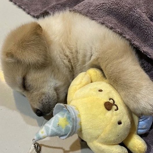 หะยิดตื่นอ๊ะยางน๊า 🦆💤