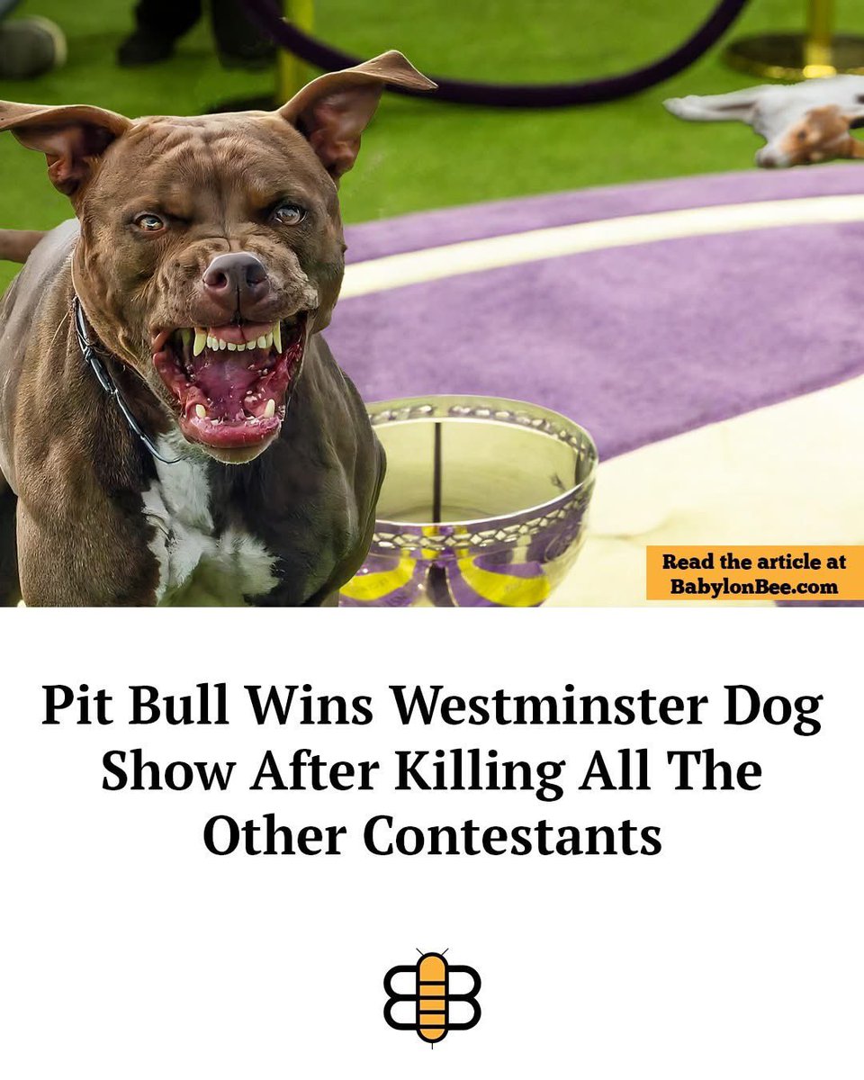 pearlandsportsguy tweet media