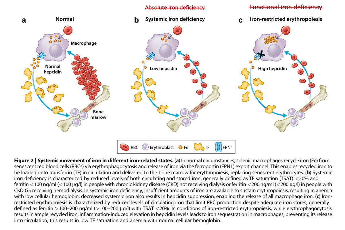 Edgar V. Lerma 🇵🇭 tweet media