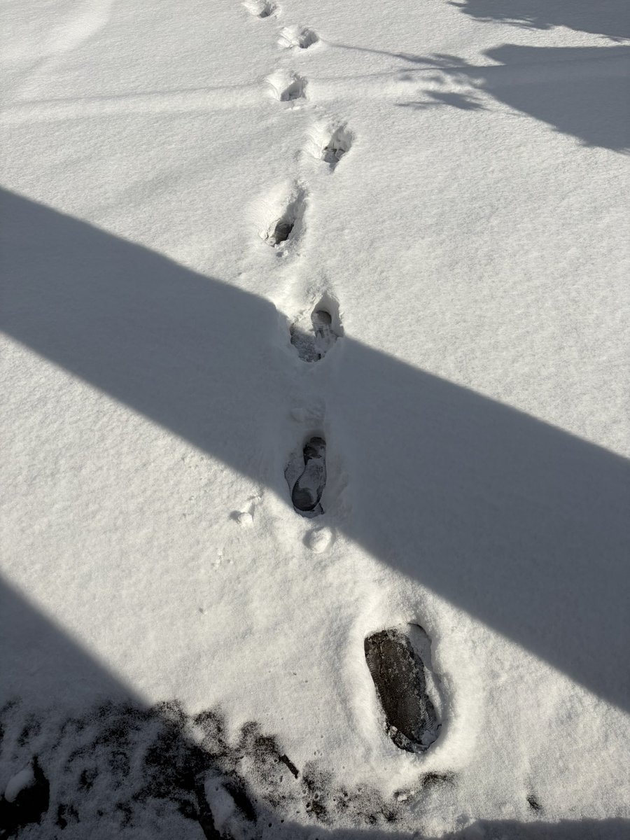 私の仕事も在宅にならないかな……
おはようございます

今朝もまだ昨日の私の足跡がそのまま残ってます……🐾