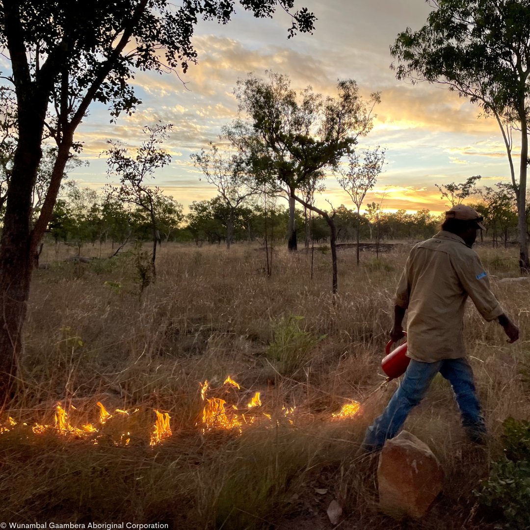 WWF_Australia's tweet photo. &amp; strengthens community resilience.
Part of our Climate, Nature &amp; Communities work. Learn more ⤵️ https://t.co/gEx94qc7py
#RightWayFire #CaringForCountry #IndigenousLed #WWFAustralia #IndigenousKnowledge #Climate https://t.co/4tAbcB43WN