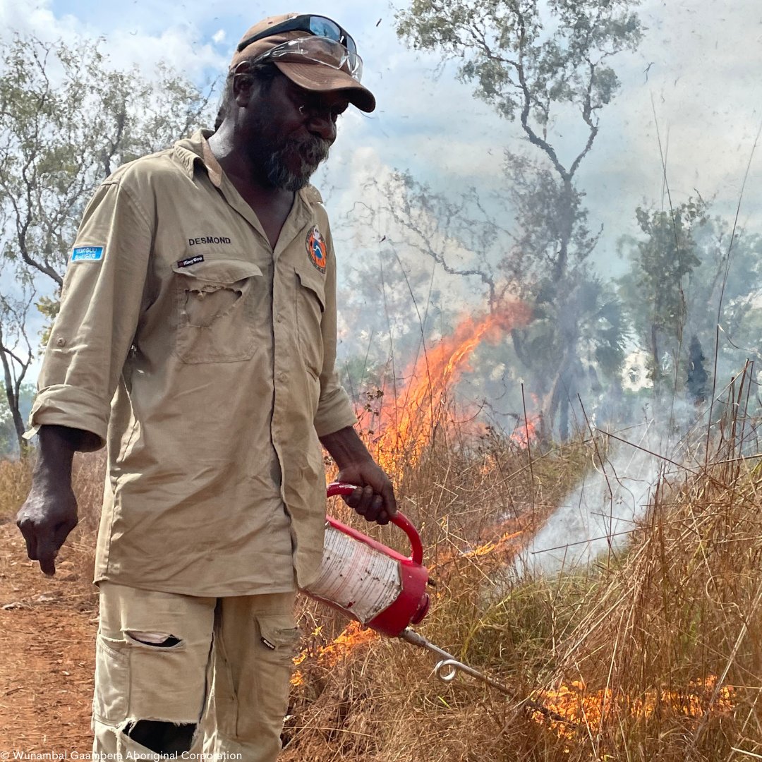 WWF_Australia's tweet photo. &amp; strengthens community resilience.
Part of our Climate, Nature &amp; Communities work. Learn more ⤵️ https://t.co/gEx94qc7py
#RightWayFire #CaringForCountry #IndigenousLed #WWFAustralia #IndigenousKnowledge #Climate https://t.co/4tAbcB43WN